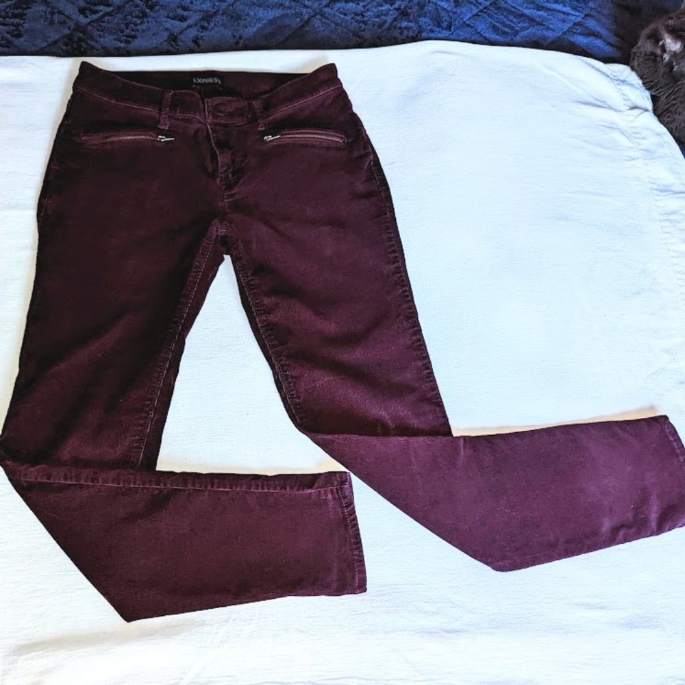 Express Skinny Stretch Wine Cords, Zippered Pockets